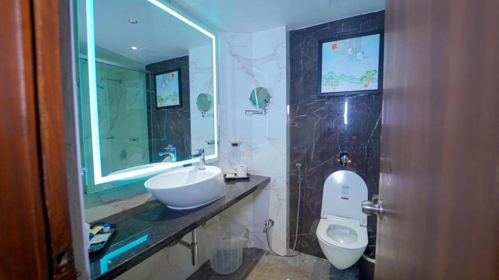 Hotel Tmr Krone Near Igi Airport Delhi